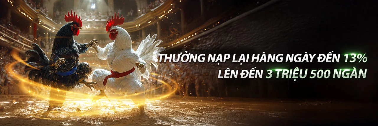 Chương trình đối tác 6bet login